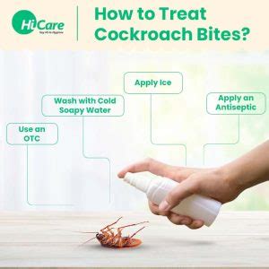 cockroach change skin|Cockroach Bite Treatment Guide: How to Spot, Treat, and Prevent.